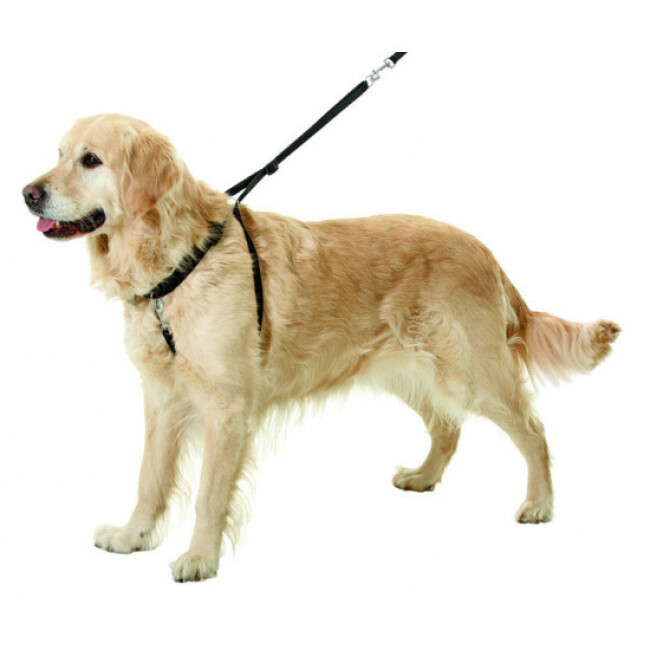 Harnais d'éducation pour chiens Easy Walker