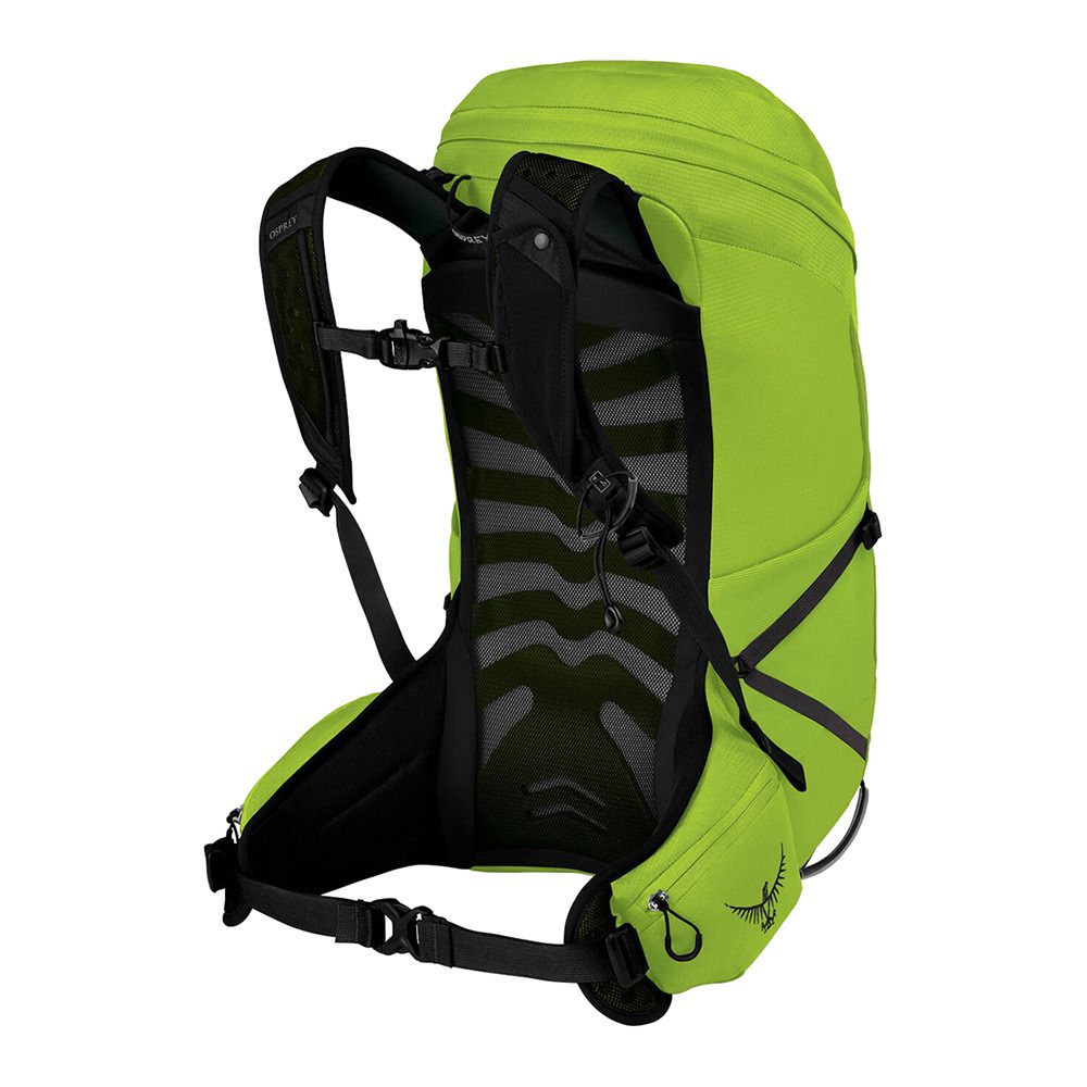 Osprey TALON 26L - Sac À dos Homme limon green