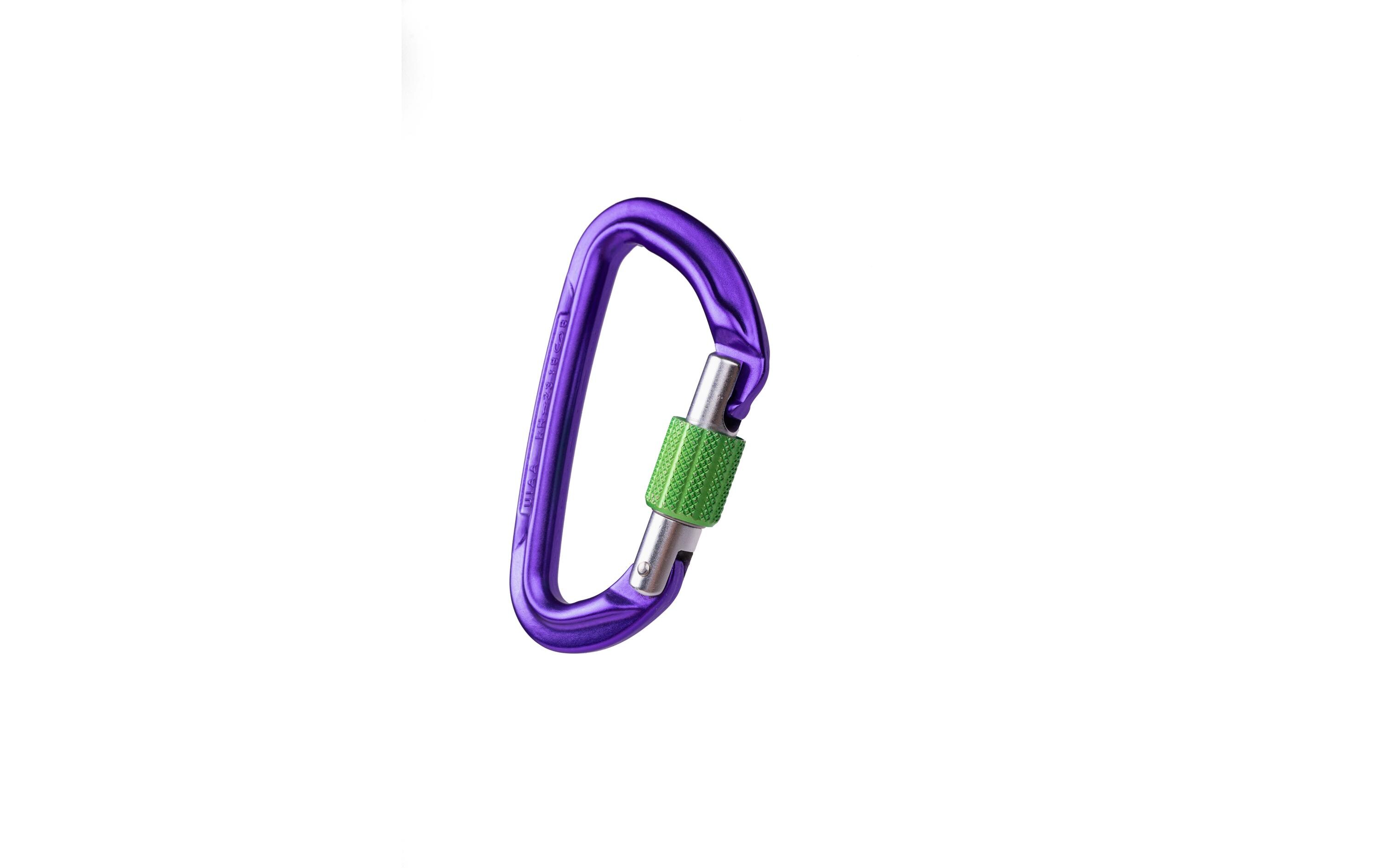 Carabiner Session Screw Gate LilaKarabiner mit Schraubverschluss
