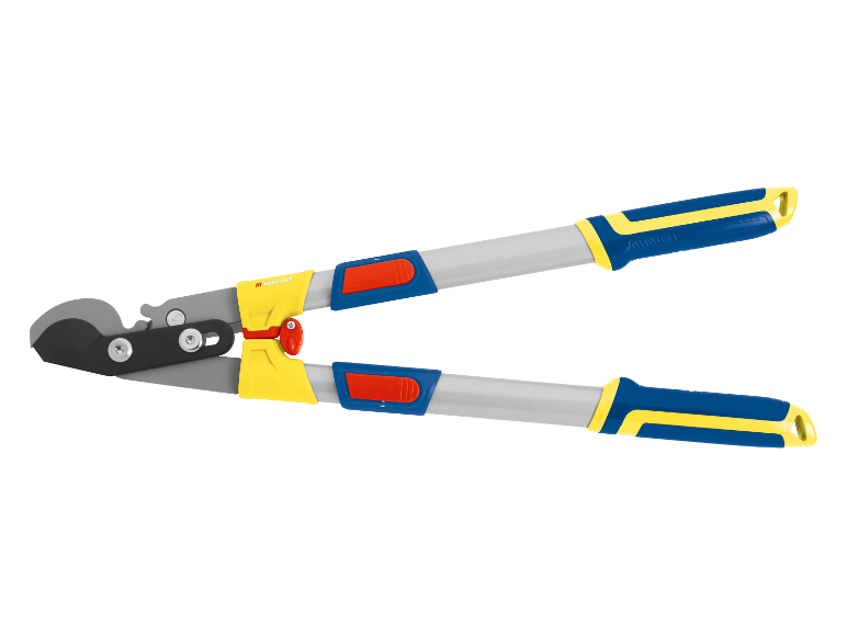 Telescopische snoeischaar