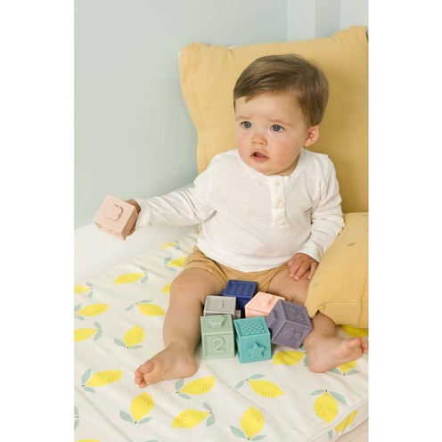 Mes premiers cubes éducatifs - BABYTOLOVE