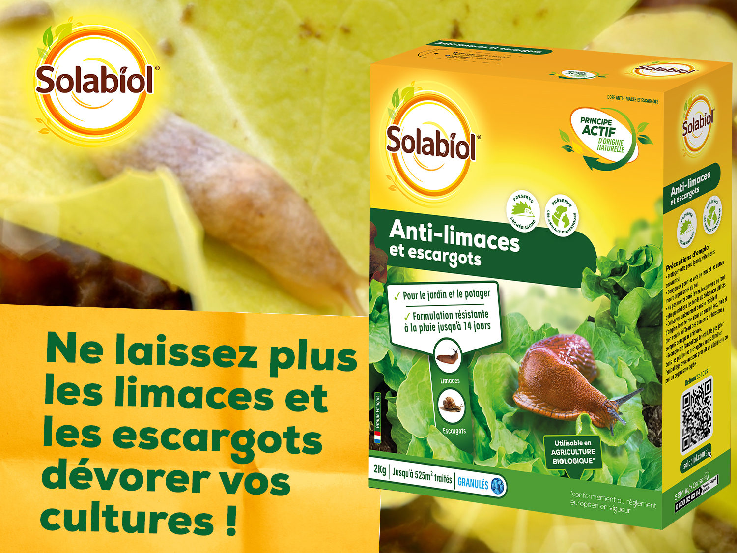 Anti-limace & escargot |2 kg| granulés | résiste à la pluie | protecti
