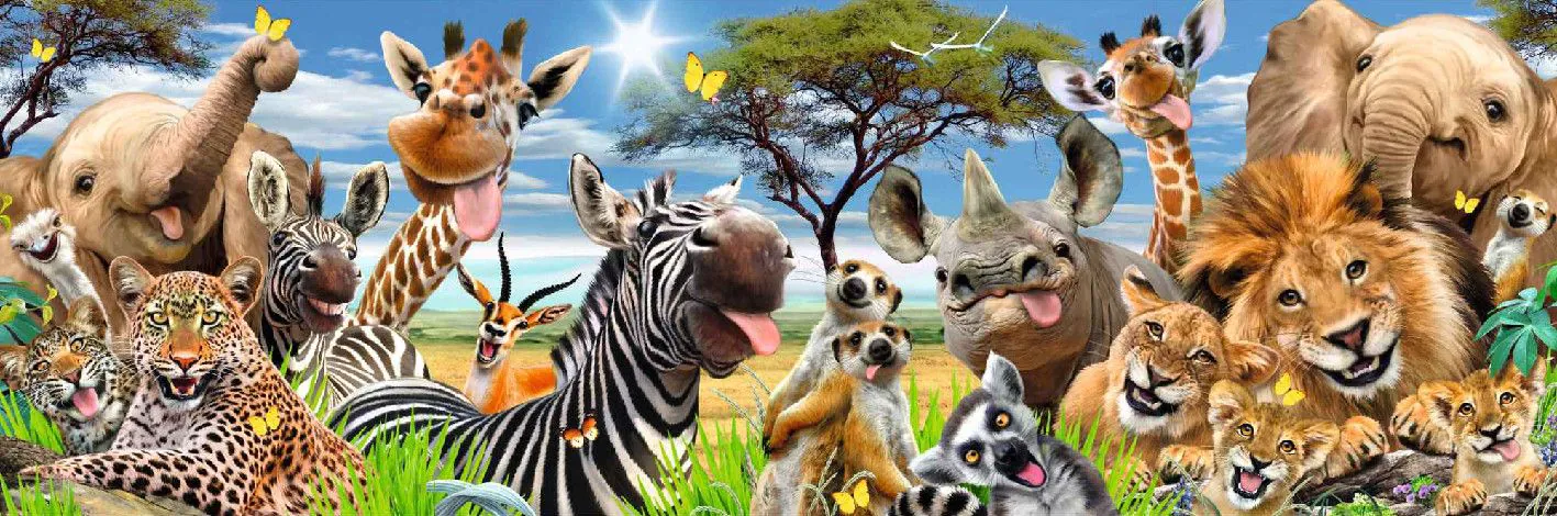 Poster Wildlife Funnies, 53 x 158 cm
