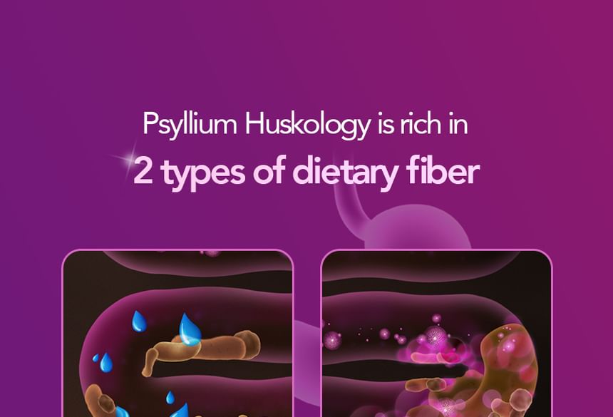 FOODOLOGY - Psyllium Huskology
