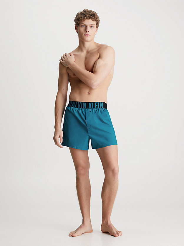 Cuecas Boxer Slim - Pacote com 2 - Intense Power