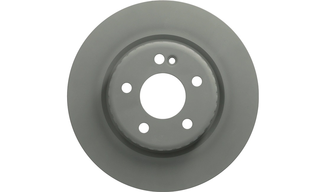 Bremseskive 300 x 12 mm