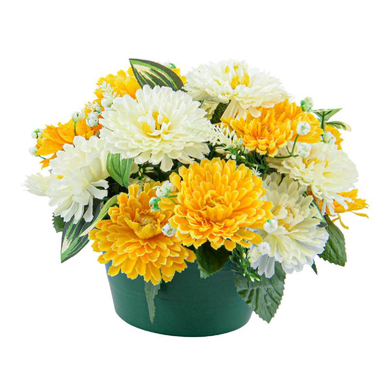 Coupe de chrysanthèmes