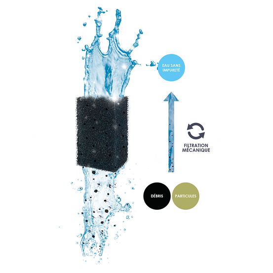 Mousse Foam x1: taille M