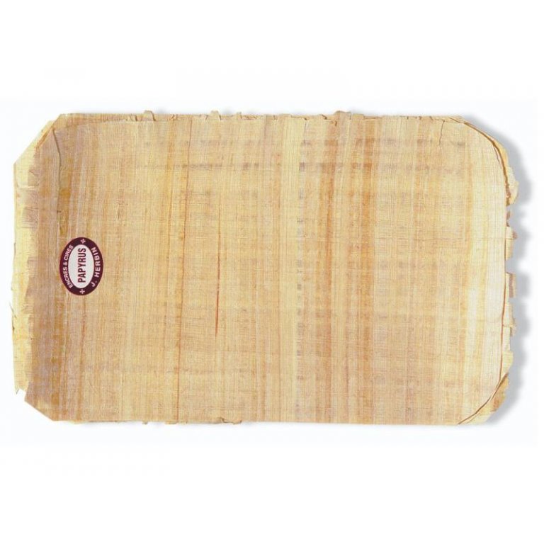 Echter Papyrus