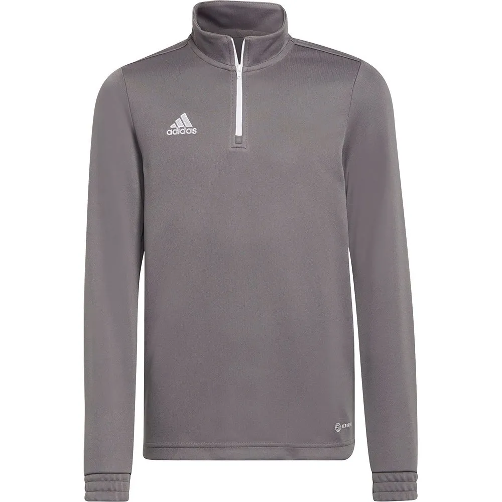 Moletom de treino adidas Entrada 22