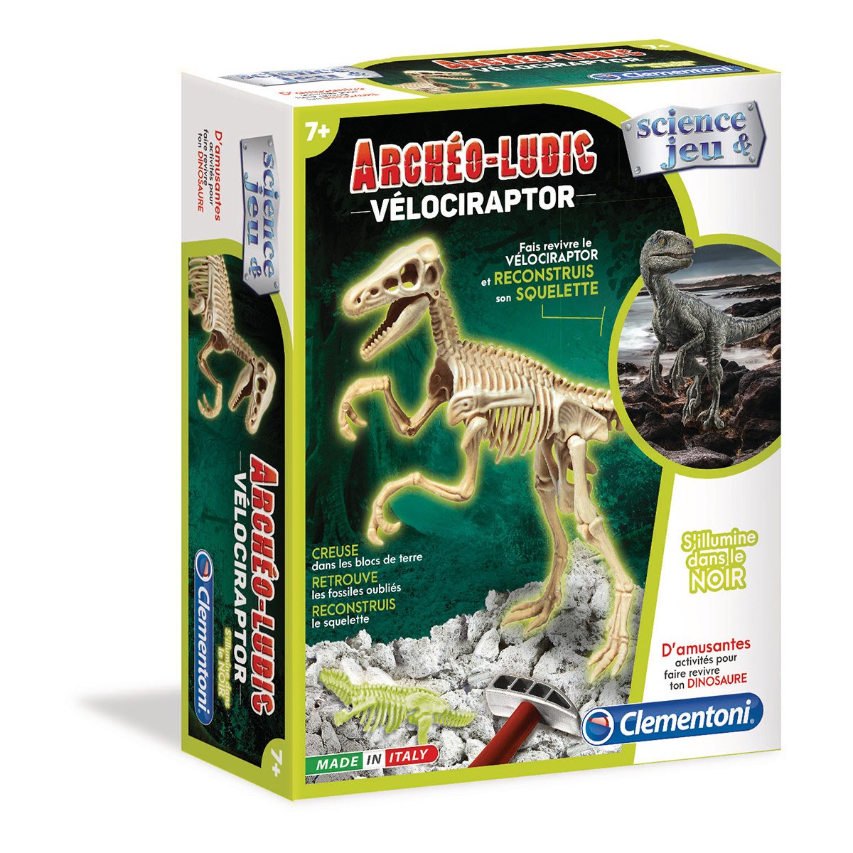 Archéo Ludic Vélociraptor
