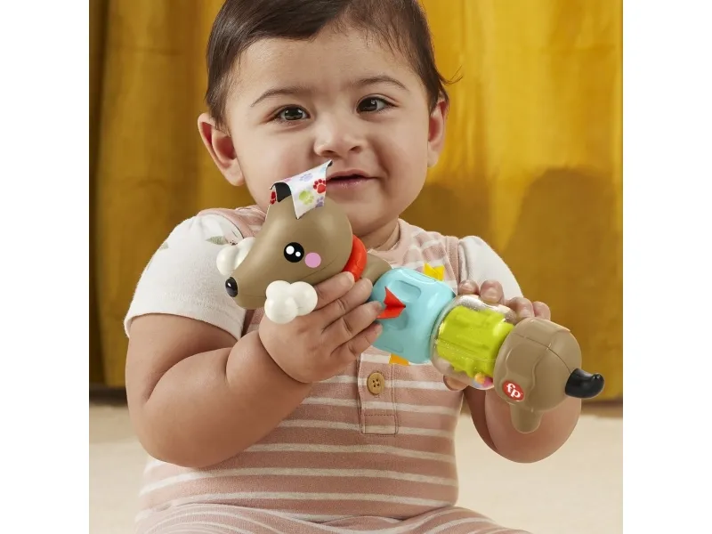 Fisher Price Click & Spin Activity Pup CDU
