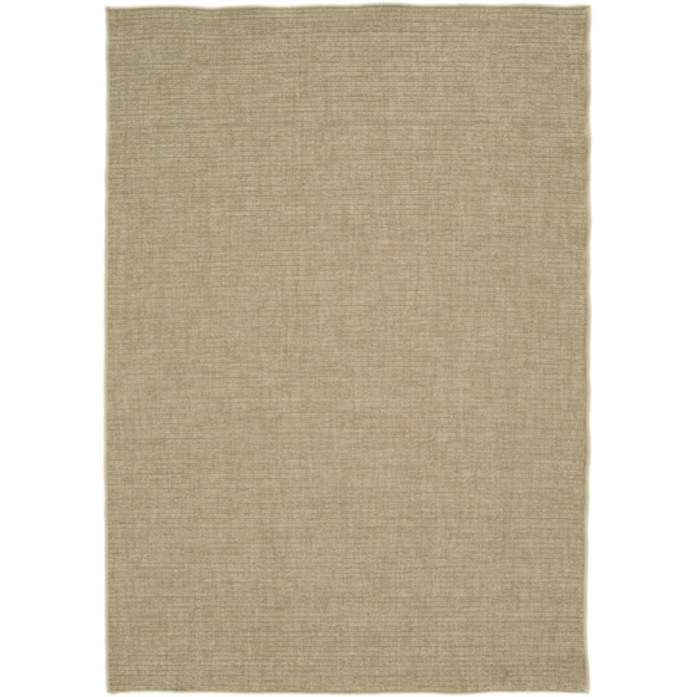 Tapis d'intérieur ou d'extérieur aspect sisal - havana - beige - 200 x 290 cm