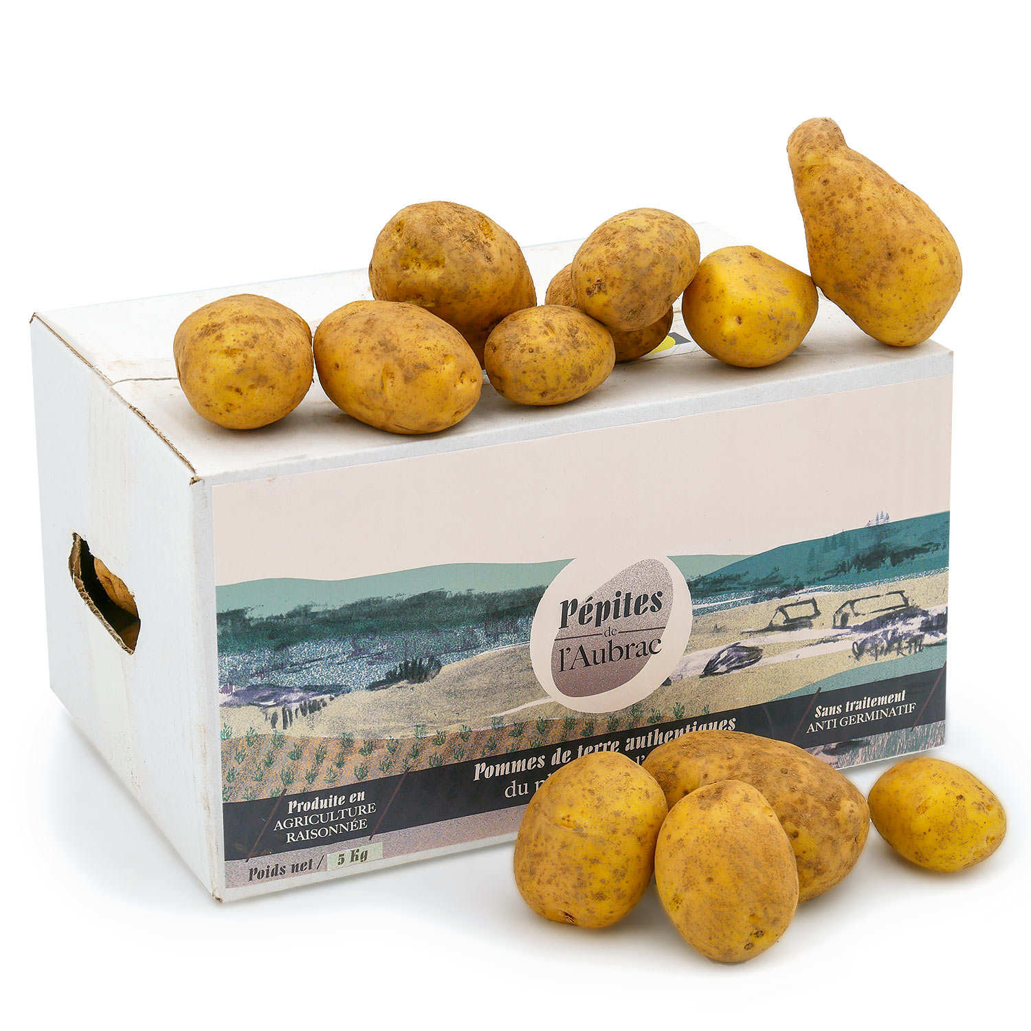 Pommes de terre de l'Aubrac variété Monalisa - calibre standard 40/55