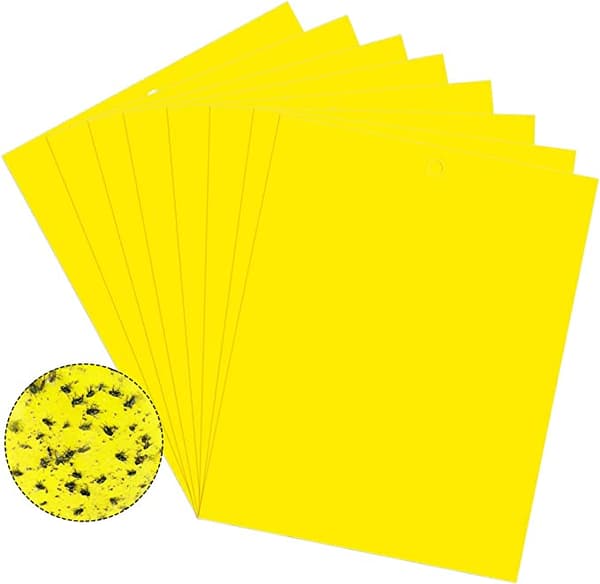 INF Klebrig fluepapir, 20-pakning Gul  20x10 cm