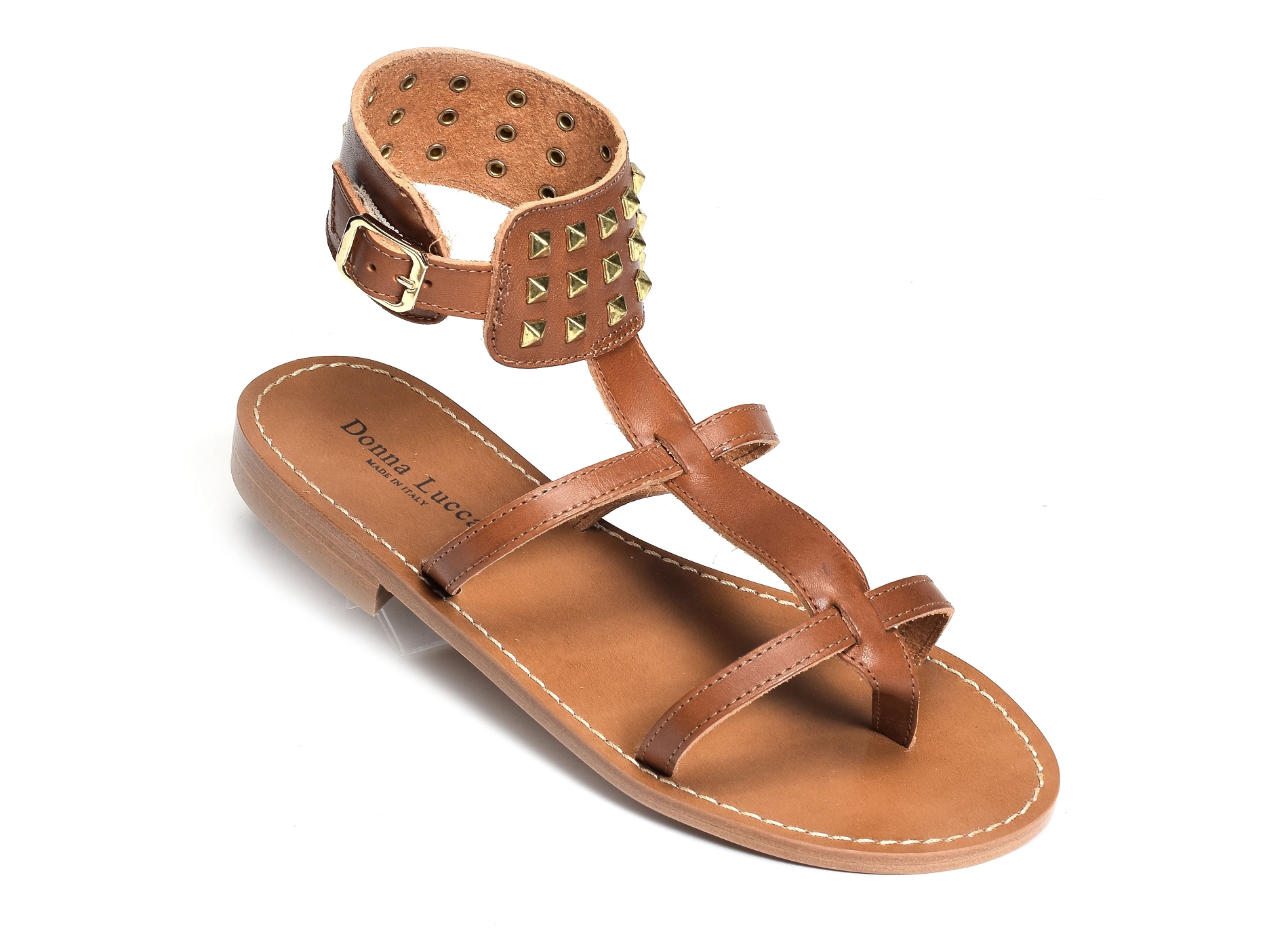 1260 camel