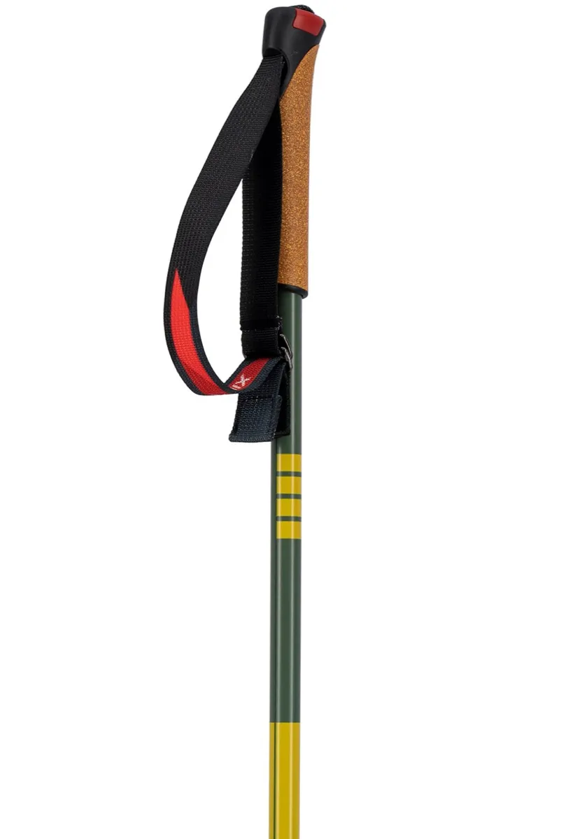 Swix Infinity Sonic Alu Pole Green