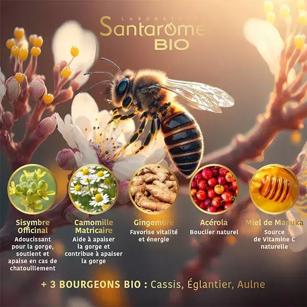 Santarome Bio Spray Gorge au Miel de Manuka Bio Apaise la gorge 20 ml
