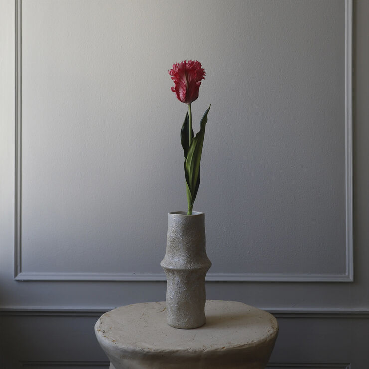 Botané Parrot Tulip Flower Dark pink