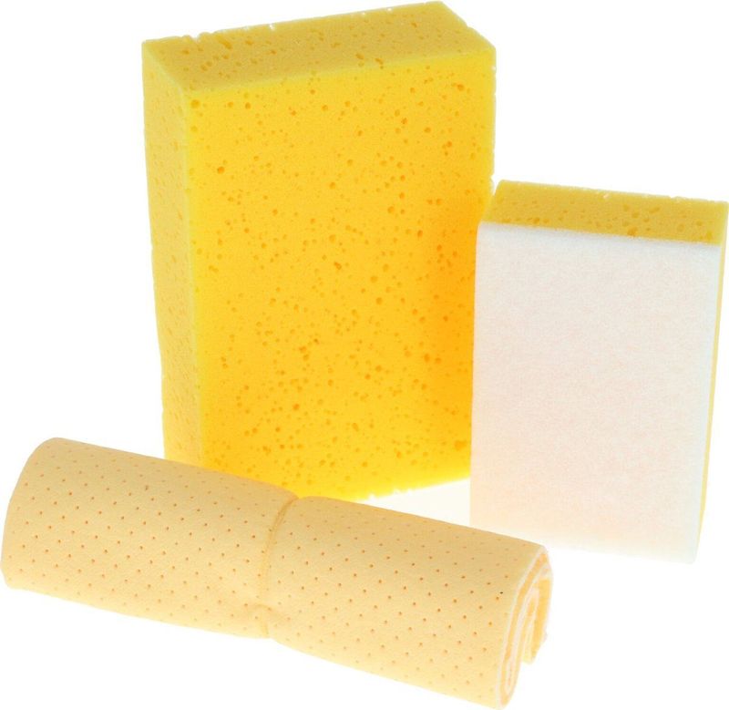 Protecton - Autowas Set - 3-Delig - Inclusief Spons, Insectenspons, Zeem