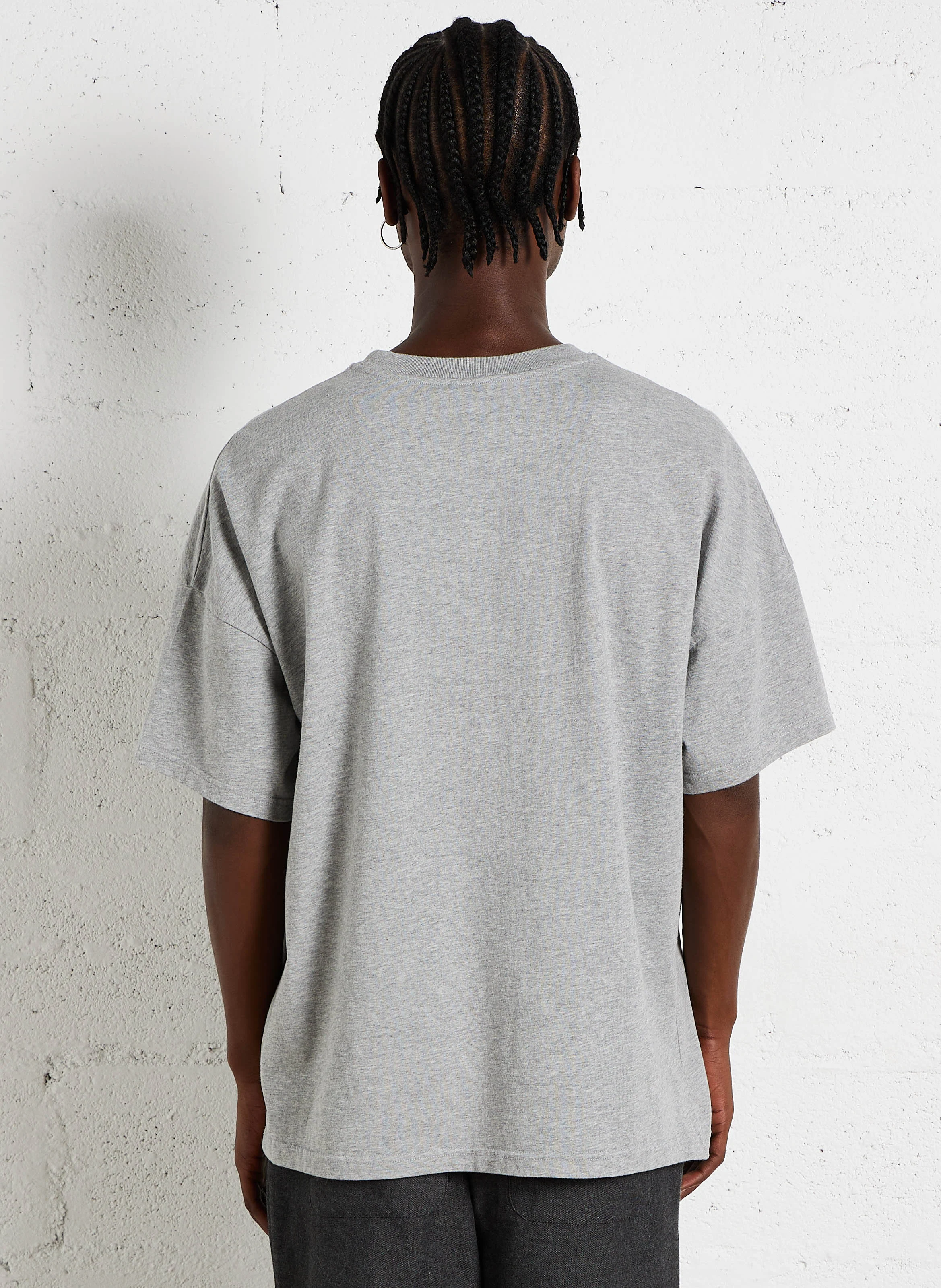 FIZVALLEY - Tee-shirt regular-fit col rond en coton | Gris