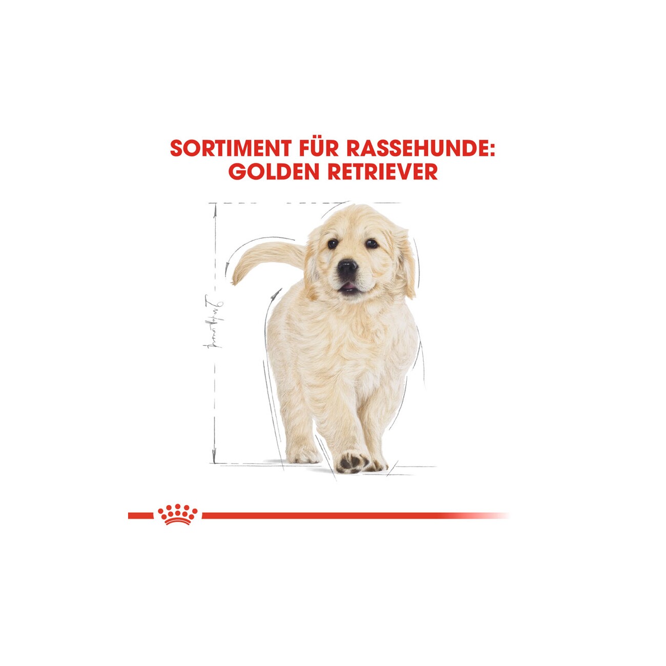 ROYAL CANIN Golden Retriever Puppy 3 kg