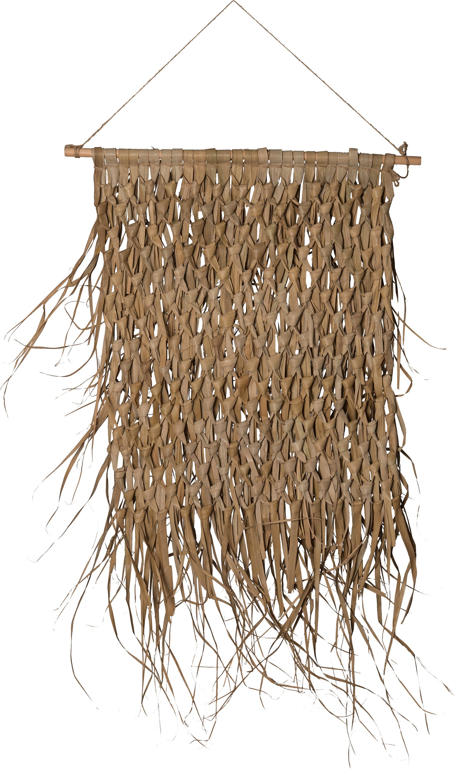 Intratuin tuinwanddecoratie palmblad naturel 65 x 80 cm