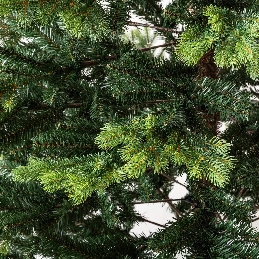 Weihnachtsbaum 240 cm