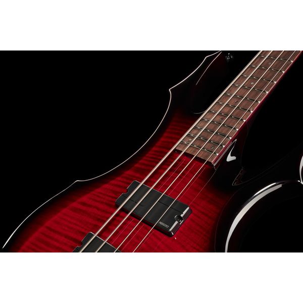 ESP LTD F-1004