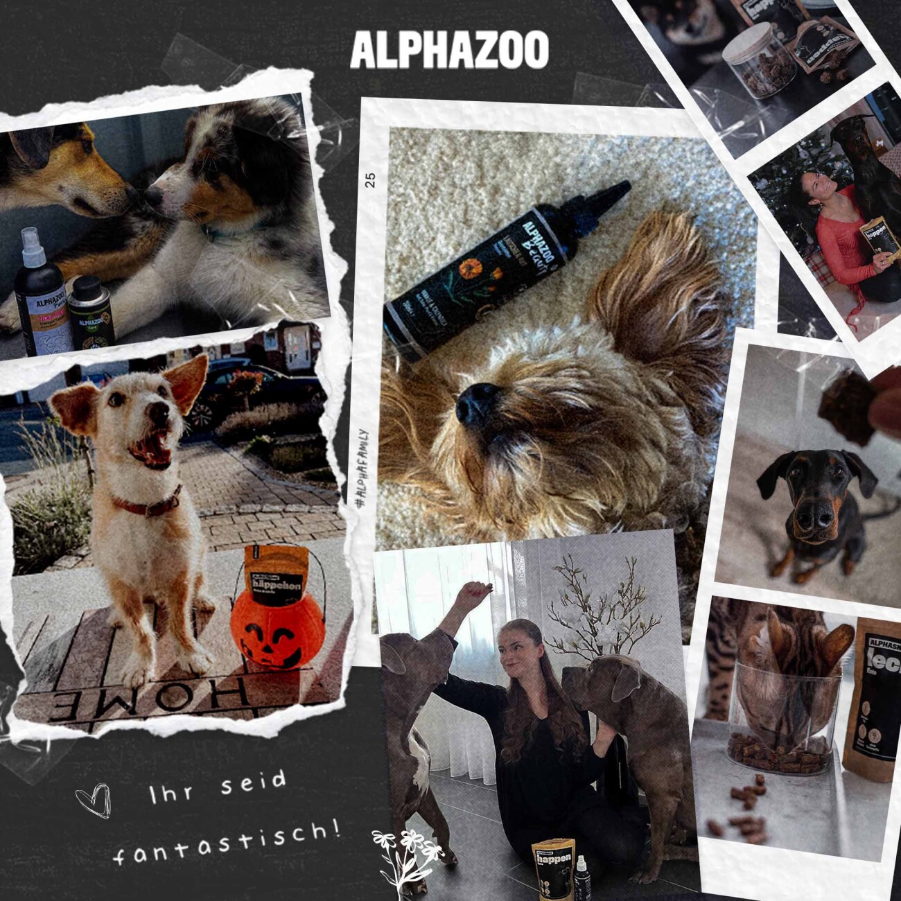 ALPHAZOO Monoprotein Rind 6 x 400g, Nassfutter Rind für Hunde