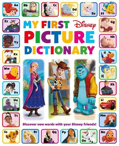 DS My First Picture Dictionary (Hardback)