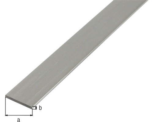 Platte staaf, natuurlijk aluminium, 50x3 mm, 1 m