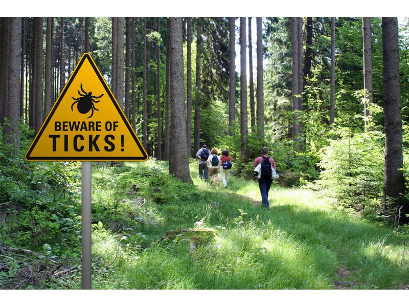 Tickless PET Ultraschallgerät, Schwarz Zur Zecken-Prävention