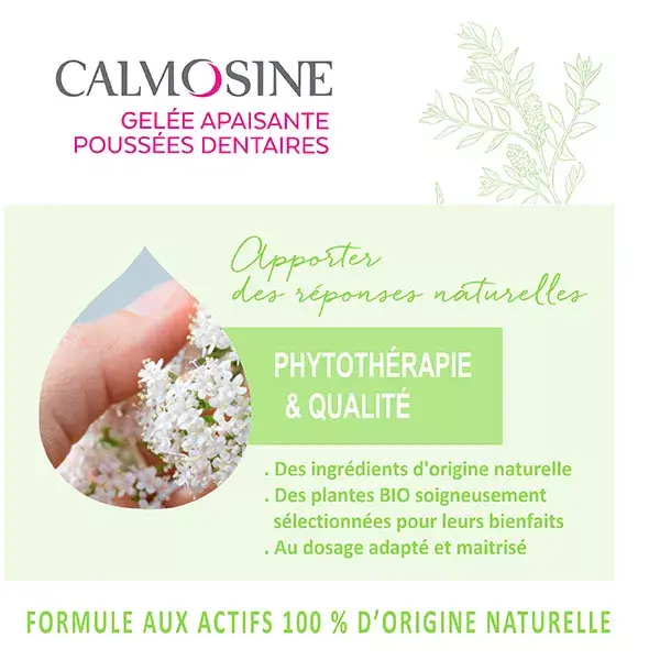 Calmosine Geleia Calmante para Dentição Orgânica para Primeiros Dentes do Bebê 15ml
