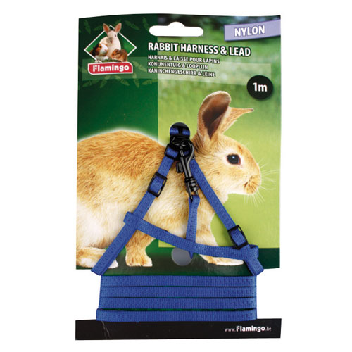 Coleira de flamingo com guia azul para coelhos