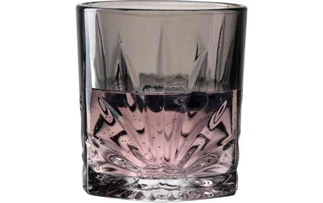LEONARDO Whiskyglas »DOF Capri 330ml grau«