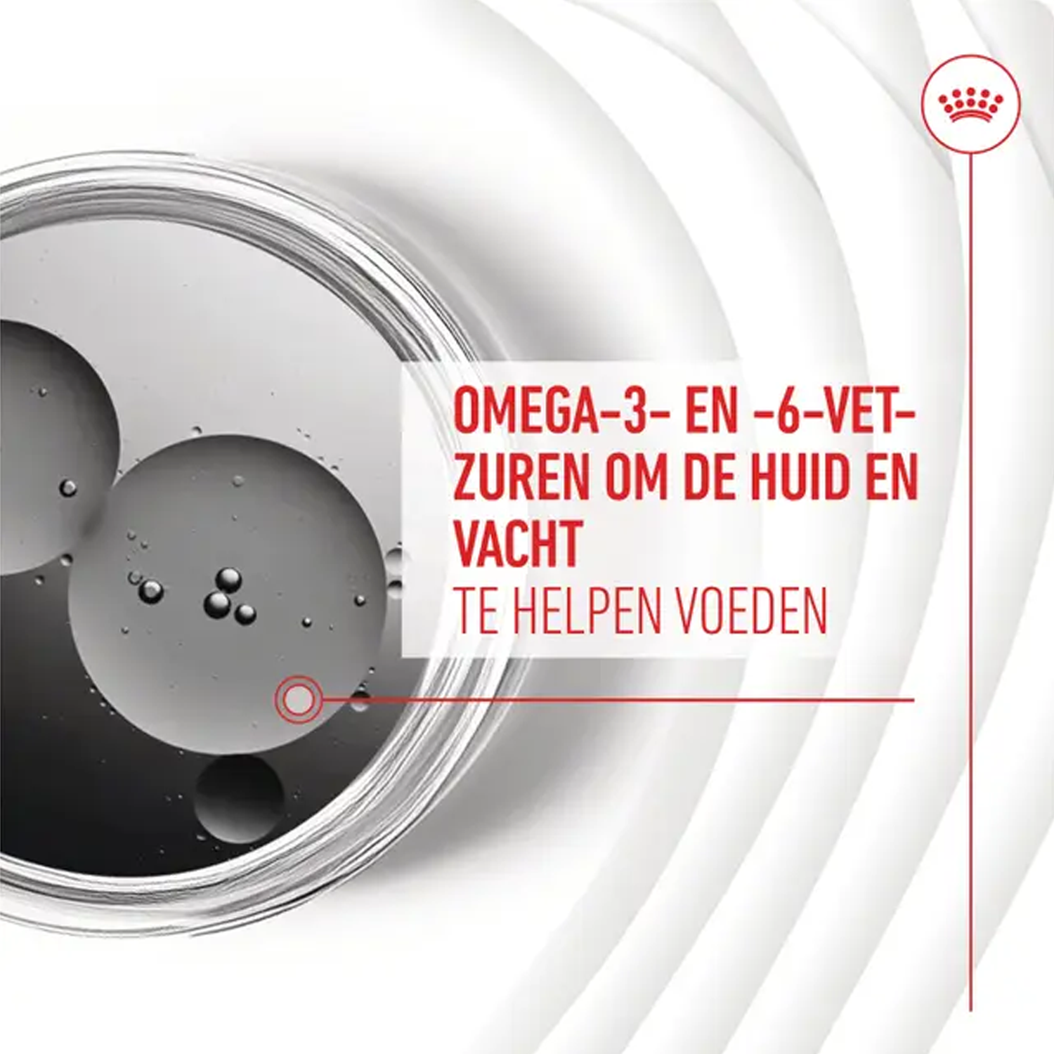 Royal Canin Skin & Coat Supplements Chews Hond