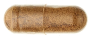 MORGA Roter Ginseng Kapseln, 100 Stück