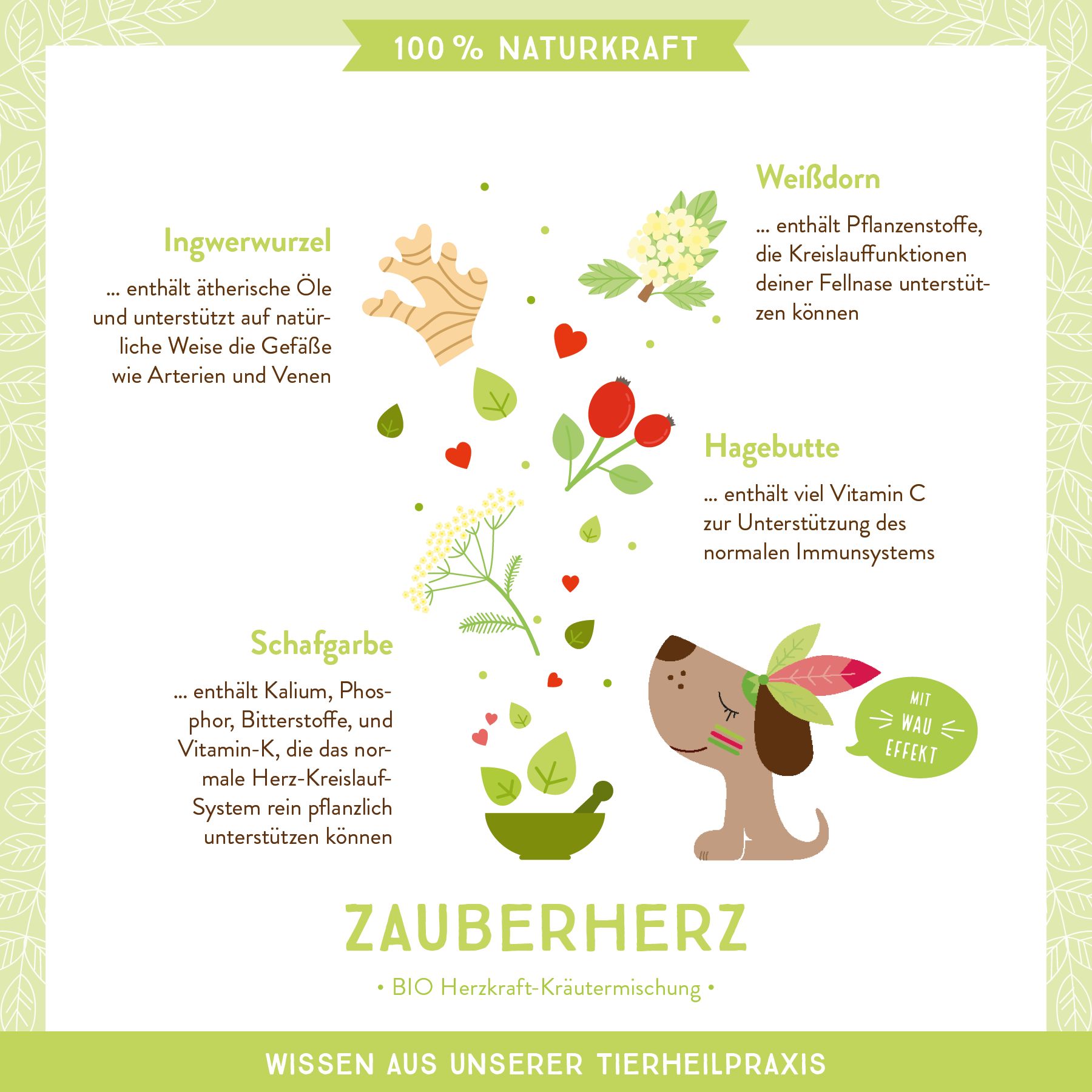AniCanis Bio Herz & Kreislauf Kräuter Zauberherz für Hunde