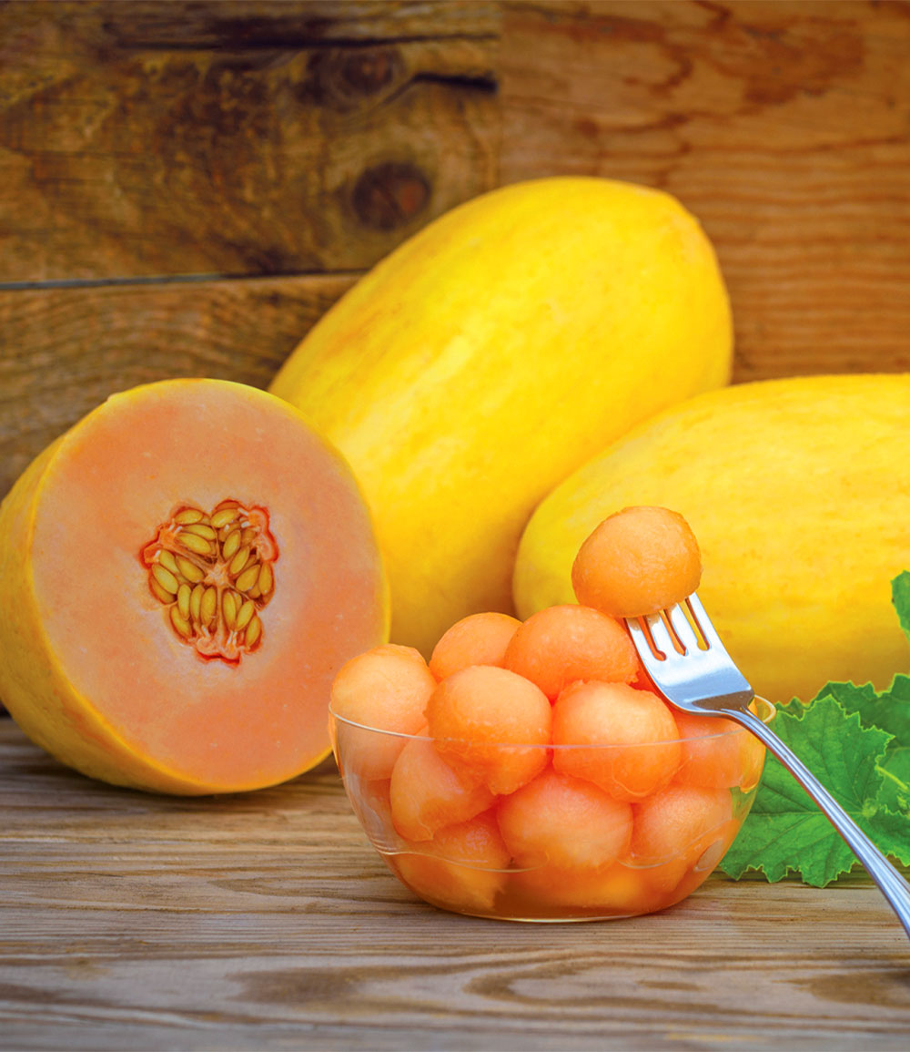 Mango-Melone 'Mangomel' F1
