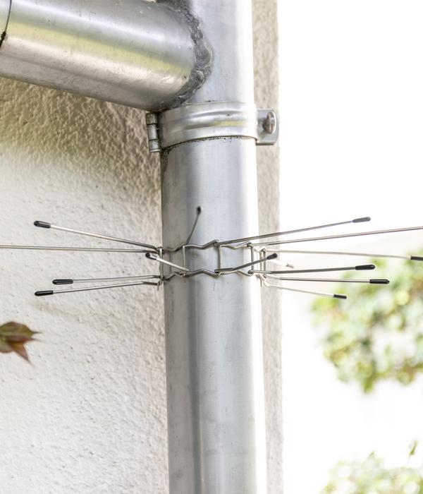 Windhager Marderabwehr Fallrohr-Gürtel, 2