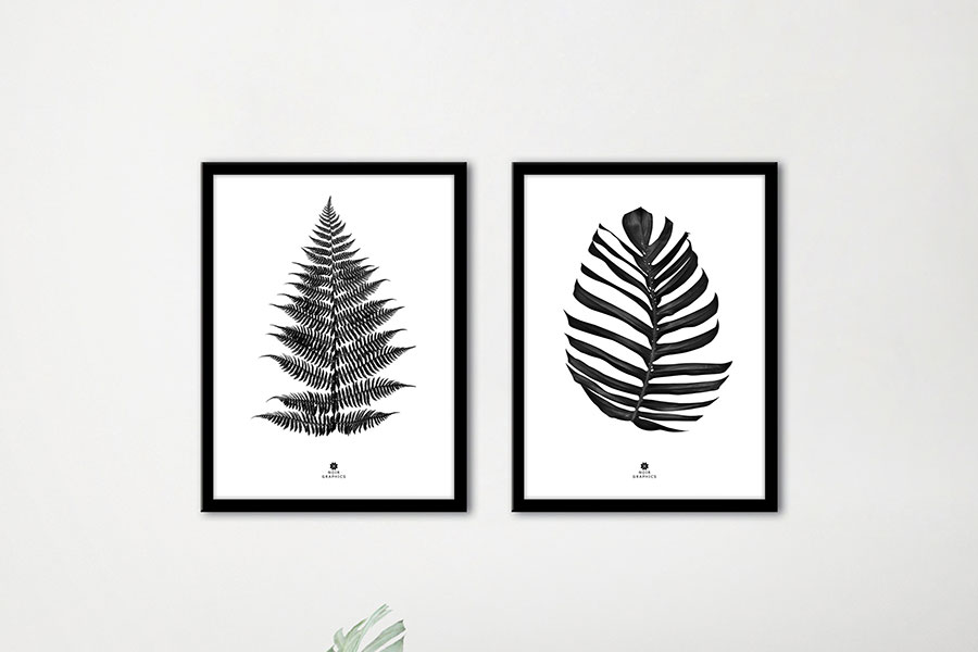 Fern black poster 30x40 cm.