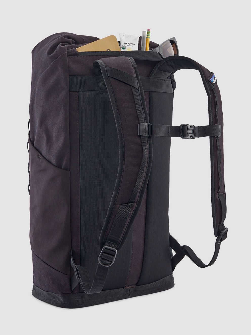 Patagonia Fieldsmith Roll Top Backpack black