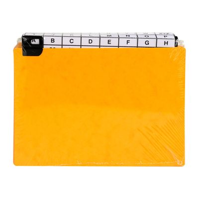 Exacompta - Intercalaires alphabétiques pour boîte à fiches - 24 positions A à Z