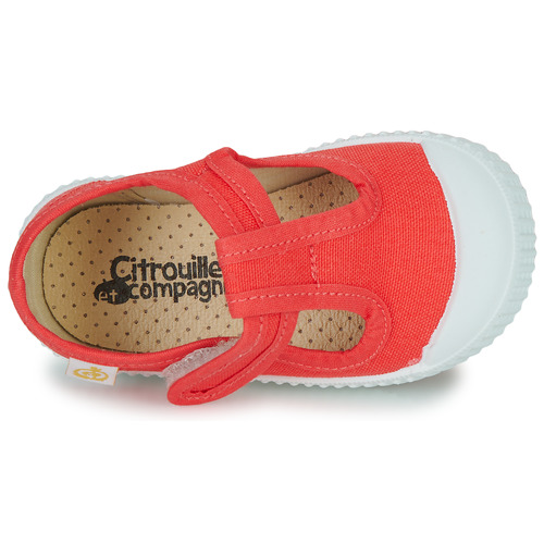 Citrouille et Compagnie - ALUNA - Rose
