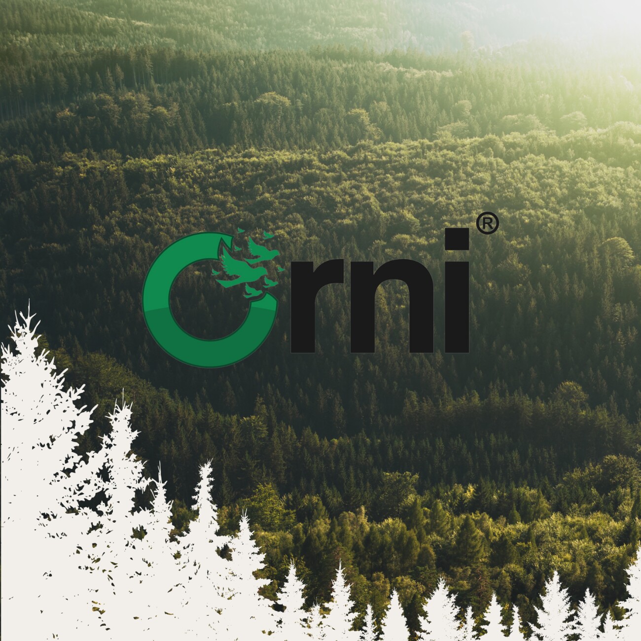 Orni Getreidefreies Igelfutter mit Insekten 1 kg