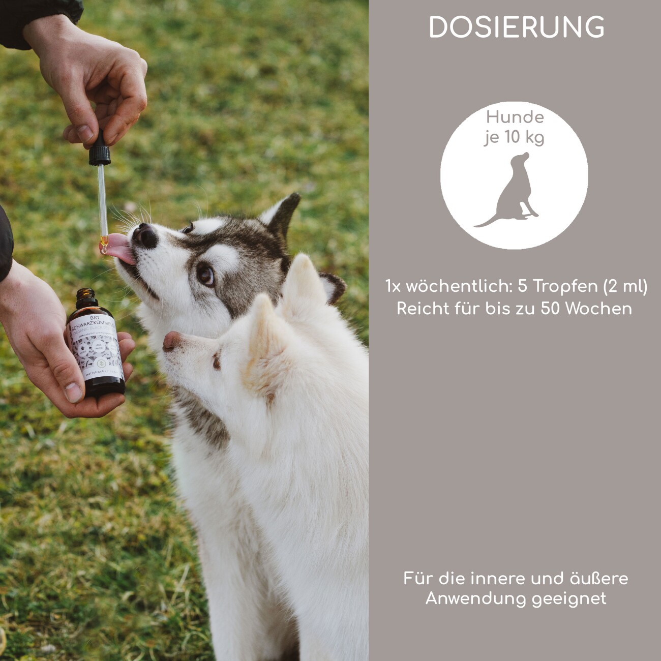 Wolfsbacher Natur Bio Schwarzkümmelöl 50 ml