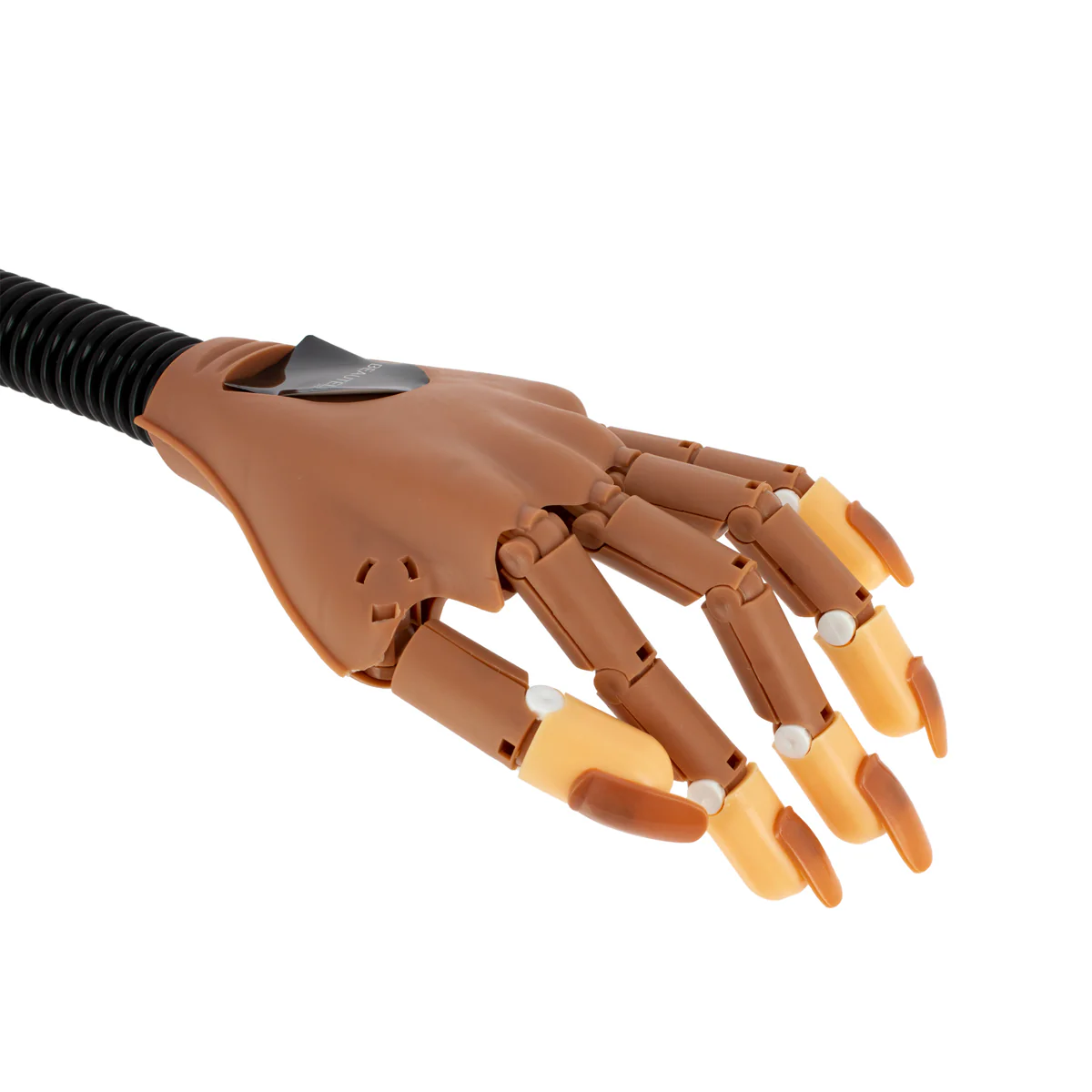 Main d'entraînement articulée flexible   100 ongles