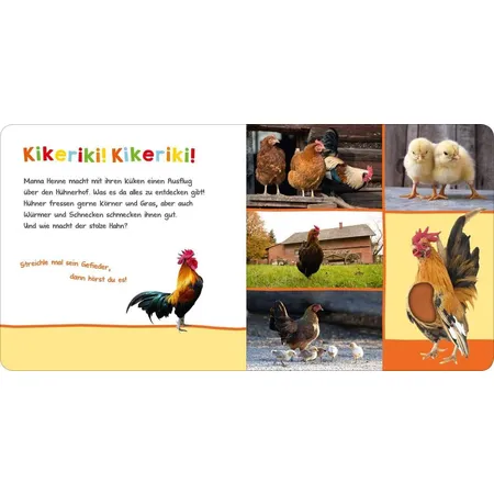 ars Edition Buch - Hör mal rein, wer kann das sein? Im Stall