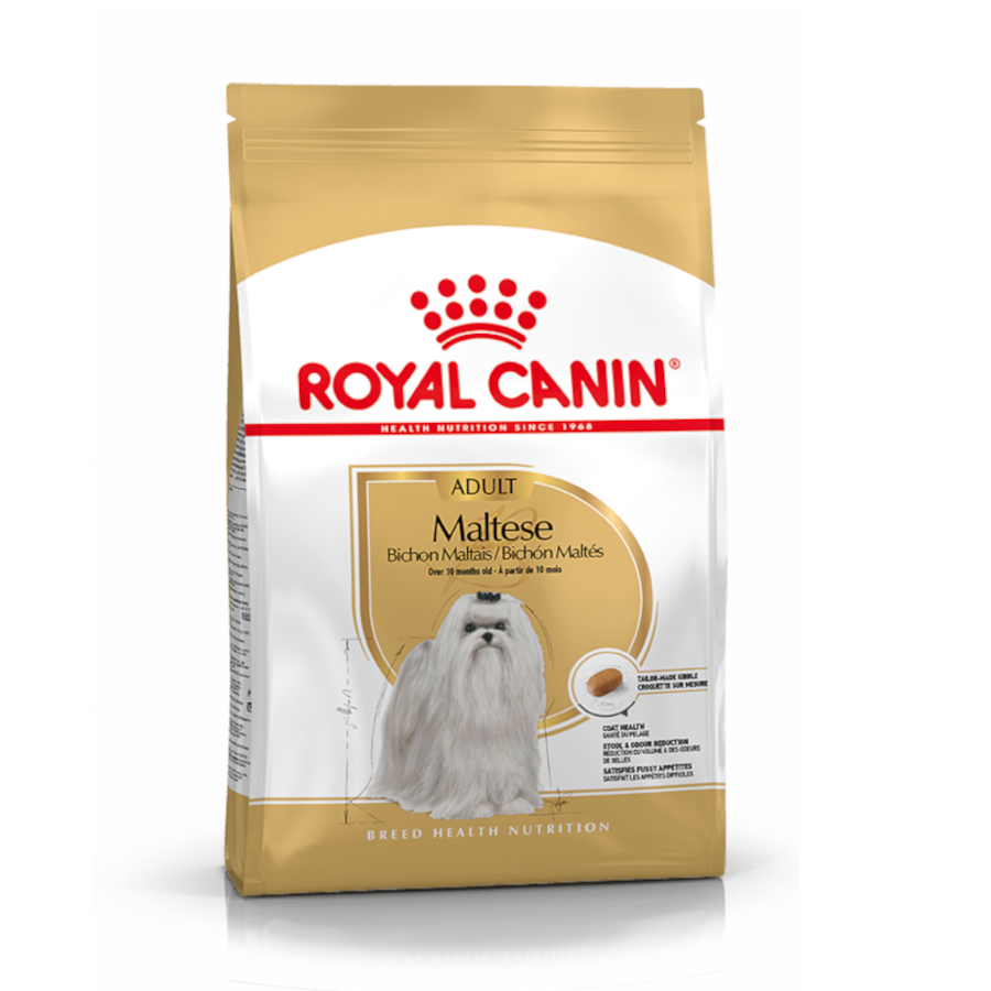 Ração Royal Canin Adult Bichon Maltese para cães